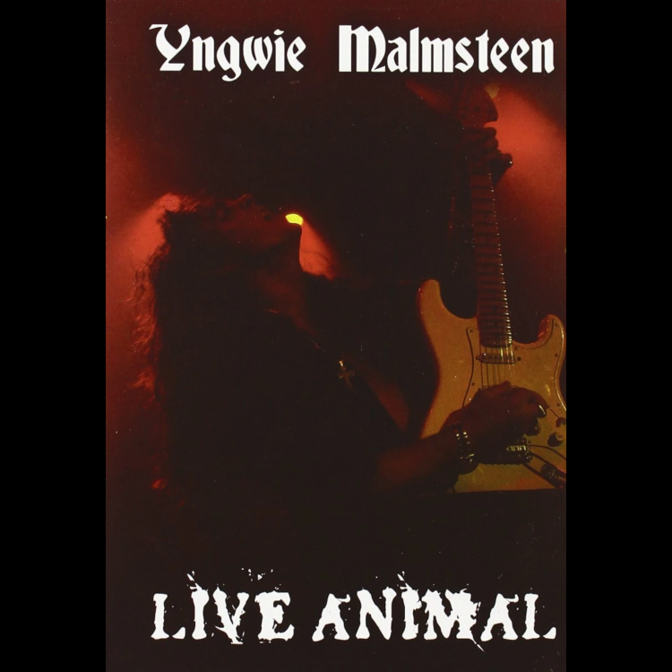 Yngwie Malmsteen, Yngwie Malmsteen’s wife, Yngwie Malmsteen wife, Malmsteen wife, Yngwie Malmsteen girlfriend, Yngwie Malmsteen's girlfriend, Rising Force, Yngwie Malmsteen's wedding, Yngwie Malmsteen wedding, Malmsteen, Yngwie Malmsteen's son, Malmsteen Merchandise, Yngwie Malmsteen Merchandise