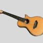 Majesty Nylon Classical Travel Guitar (Quarter-sized) - Signed & Personalized (ONLY ONE!)